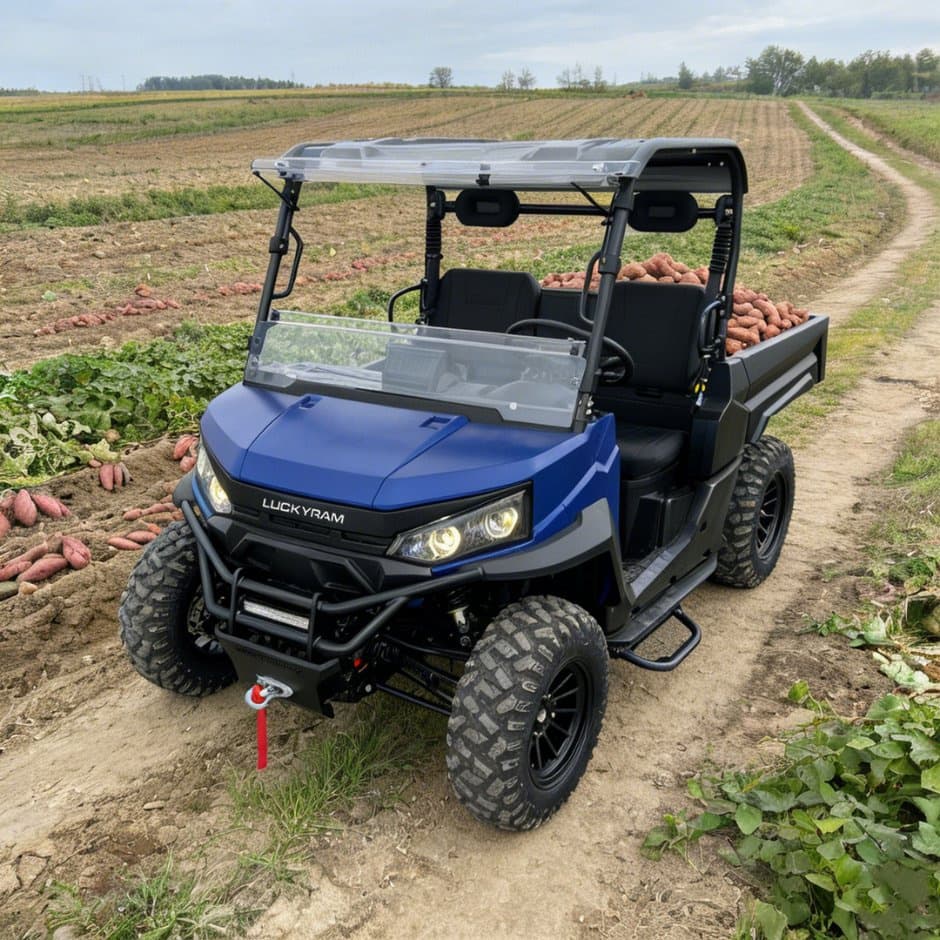 73,6В 4WD UTV 10кв айнымалы ток қозғалтқышы EPS рульі 150ah батарея